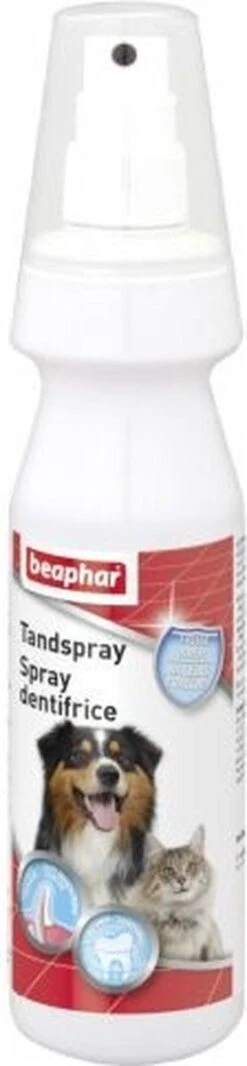 Beaphar Tandspray 150 Ml -Dieren Benodigdheden Winkel 278x1200 1
