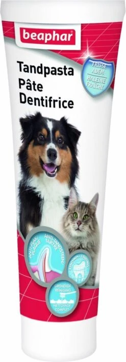 Beaphar Tandpasta - 100 Gr -Dieren Benodigdheden Winkel 418x1200 1
