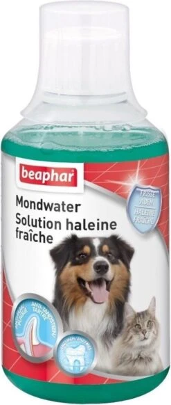 Beaphar Mondwater - 250 Ml -Dieren Benodigdheden Winkel 509x1200