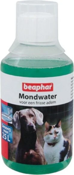 Beaphar Mondwater - 250 Ml -Dieren Benodigdheden Winkel 512x1200