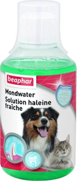 Beaphar Mondwater - 250 Ml -Dieren Benodigdheden Winkel 513x1200