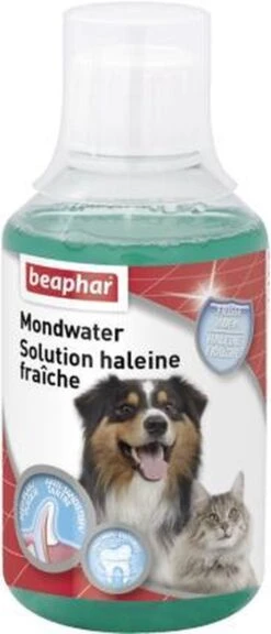 Beaphar Mondwater - 250 Ml -Dieren Benodigdheden Winkel 515x1200