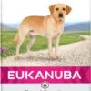 Eukanuba Dog Labrador Retriever - 12 KG -Dieren Benodigdheden Winkel 589x1200