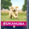 Eukanuba Dog Puppy & Junior - All Breeds - Lamb & Rice - 12 Kg 2 Eukanuba Dog Puppy & Junior - All Breeds - Lamb & Rice - 12 Kg -Dieren Benodigdheden Winkel 620x1200
