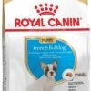 Royal Canin French Bulldog Junior 3 KG 1 Royal Canin French Bulldog Junior 3 KG -Dieren Benodigdheden Winkel 717x1200
