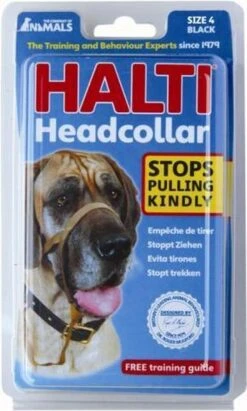Halti Headcollar - Maat 2 -Dieren Benodigdheden Winkel 721x1200 1