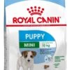 Royal Canin Mini Junior 8 KG -Dieren Benodigdheden Winkel 793x1200