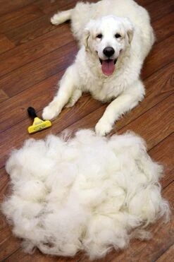 Furminator® Hond Langhaar - Vermindert Haaruitval Tot 90% - Hondenborstel - L -Dieren Benodigdheden Winkel 800x1200 7