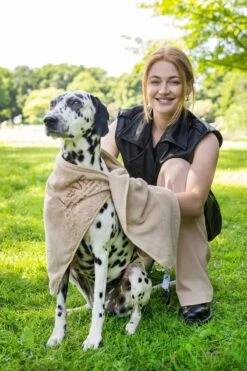 Pepets© – Hondenhanddoek – Honden Handdoek – Microvezel Handdoek – Handdoek Hond – Hondendeken – Droogdoek Hond – Dierendeken – Absorberend – 100*50CM - Beige - GRATIS Zonnebril -Dieren Benodigdheden Winkel 800x1200 9