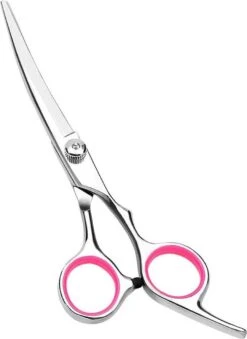 Professor Q - Hondenschaar Krom - Krommende Hondenschaar Rechts - Professionele Hondenschaar -Dieren Benodigdheden Winkel 875x1200 2