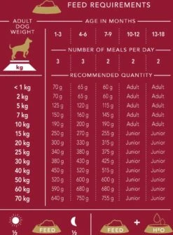 Delcon - Premium Hondenvoer - Puppy - 12kg -Dieren Benodigdheden Winkel 883x1200 1