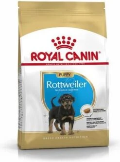 Royal Canin Rottweiler Junior 12 KG -Dieren Benodigdheden Winkel 890x1200 1