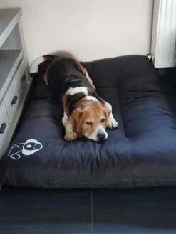 Hondenkussen XXXL -Donkergrijs - 85 X 120 X 14 -Dieren Benodigdheden Winkel 900x1200 2