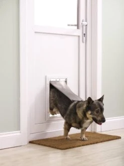 Petsafe 660 Hondenluik - Tot 100 Kg - Aluminium -Dieren Benodigdheden Winkel 900x1200 22