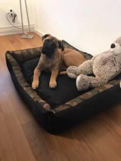 Hondenmand Cordura XXXL – Donkergrijs - 125 X 90 X 24 Cm 14 Hondenmand Cordura XXXL – Donkergrijs - 125 X 90 X 24 Cm -Dieren Benodigdheden Winkel 900x1200