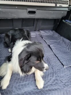 Luxe Hondendeken 200 X 150 Cm Auto Achterbank Kofferbak Vuilafstotend & Beschermend 8 Luxe Hondendeken 200 X 150 Cm Auto Achterbank Kofferbak Vuilafstotend & Beschermend -Dieren Benodigdheden Winkel 900x1200 5