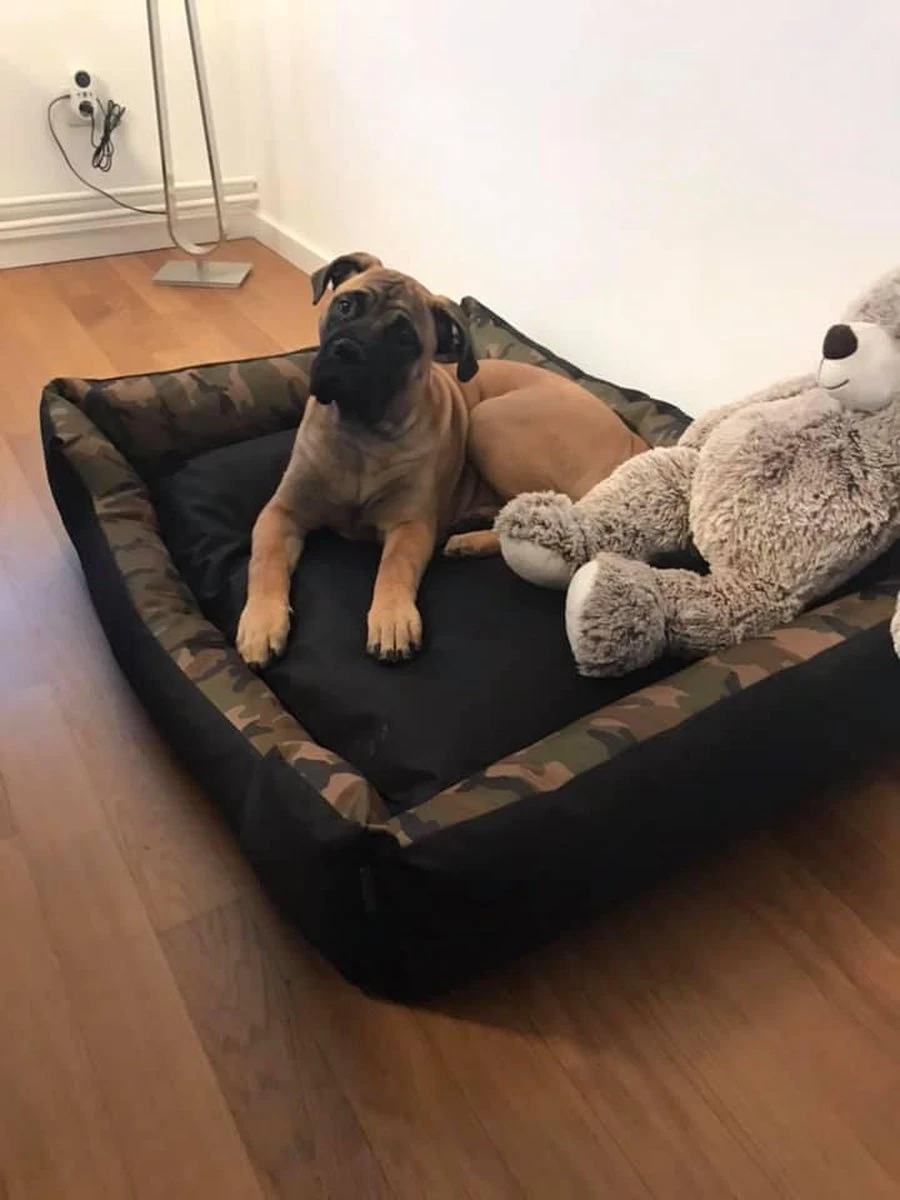 Hondenmand Cordura XXXL – Donkergrijs - 125 X 90 X 24 Cm 7 Hondenmand Cordura XXXL – Donkergrijs - 125 X 90 X 24 Cm - Afbeelding 5