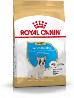 Royal Canin French Bulldog Junior 3 KG -Dieren Benodigdheden Winkel 912x1200