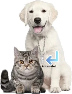 Merkloos Zelfverwarmende Dierendeken Zonder Stroom Thermo Deken Hond Kat Inclusief Adreslabel 70 X 47 Cm 12 Merkloos Zelfverwarmende Dierendeken Zonder Stroom Thermo Deken Hond Kat Inclusief Adreslabel 70 X 47 Cm -Dieren Benodigdheden Winkel 920x1200