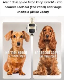 Joyage Professionele Hondentondeuse Voor Dikke Vacht – Honden Tondeuse & Hondentrimmer Tondeuse – Stille Tondeuse Katten & Honden Trimset Lang Haar – Trimmer Hond - Hondentondeuse Draadloos - Tondeuse Voor Honden - Tondeuse Hond Dikke Vacht 12 Joyage Professionele Hondentondeuse Voor Dikke Vacht – Honden Tondeuse & Hondentrimmer Tondeuse – Stille Tondeuse Katten & Honden Trimset Lang Haar – Trimmer Hond - Hondentondeuse Draadloos - Tondeuse Voor Honden - Tondeuse Hond Dikke Vacht -Dieren Benodigdheden Winkel 962x1200 3