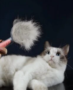 Pakeway T9 - Kattenborstel - Zelfreinigende Kattenkam - Roze - Massageborstel - 19,3 Cm -Dieren Benodigdheden Winkel 983x1200 1