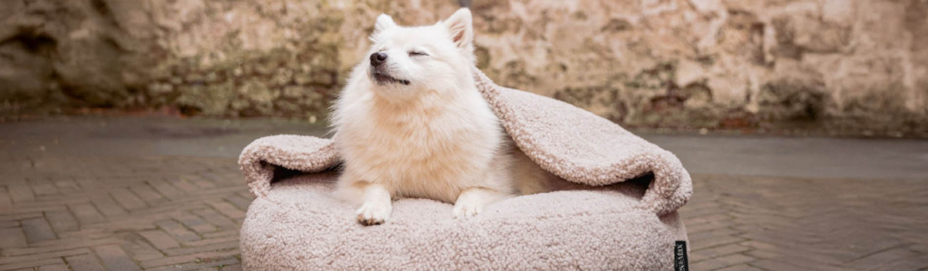 Dieren Benodigdheden Winkel -Dieren Benodigdheden Winkel ewrwer